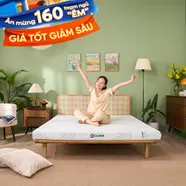 Nệm Gummi Signature – Công nghệ kép, nâng đỡ vượt trội, kháng khuẩn tối đa
