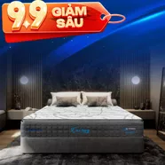 [Mới - Độc quyền] Nệm lò xo song song công nghệ cách ly chuyển động Dunlopillo de.Stress Energy