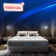 [Mới - Độc quyền] Nệm lò xo song song công nghệ cách ly chuyển động Dunlopillo de.Stress Energy