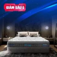 [Mới - Độc quyền] Nệm lò xo song song công nghệ cách ly chuyển động Dunlopillo de.Stress Energy