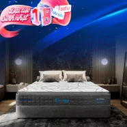[Mới - Độc quyền] Nệm lò xo song song công nghệ cách ly chuyển động Dunlopillo de.Stress Energy