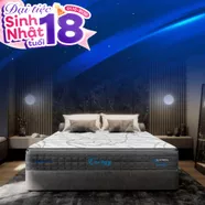 [Mới - Độc quyền] Nệm lò xo song song công nghệ cách ly chuyển động Dunlopillo de.Stress Energy