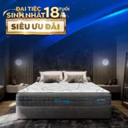 [Mới - Độc quyền] Nệm lò xo song song công nghệ cách ly chuyển động Dunlopillo de.Stress Energy