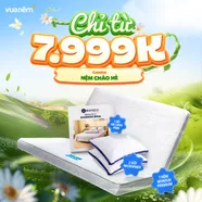 Combo Nệm chào hè: 01 đệm Wonjun, 02 gối Microfiber, 01 bộ ga chun Rina/Chiếu điều hòa Aqua