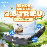 Combo Lò xo điều hòa: 01 Đệm Elite Grand, 01 Bộ Ga chun Bliss, 02 gối foam