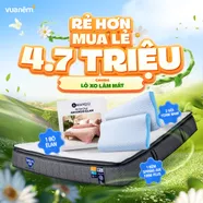 Combo Lò xo làm mát: 01 Đệm Spring Air Firm Plus, 01 bộ Élan/Lagom, 02 gối Nami
