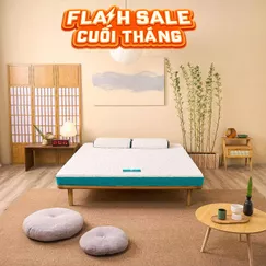 Nệm foam Nhật Bản Aeroflow Standard nâng đỡ cơ thể dày 12cm