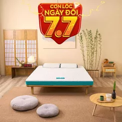 Nệm foam Nhật Bản Aeroflow Standard nâng đỡ cơ thể dày 12cm