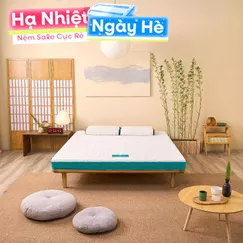 Nệm foam Nhật Bản Aeroflow Standard nâng đỡ cơ thể dày 12cm