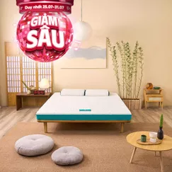 Nệm foam Nhật Bản Aeroflow Standard nâng đỡ cơ thể dày 12cm