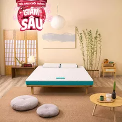 Nệm foam Nhật Bản Aeroflow Standard nâng đỡ cơ thể dày 12cm