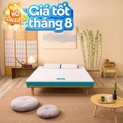 Nệm foam Nhật Bản Aeroflow Standard nâng đỡ cơ thể dày 12cm