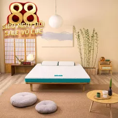 Nệm foam Nhật Bản Aeroflow Standard nâng đỡ cơ thể dày 12cm