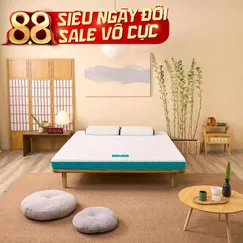 Nệm foam Nhật Bản Aeroflow Standard nâng đỡ cơ thể dày 12cm