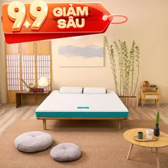 Nệm foam Nhật Bản Aeroflow Standard nâng đỡ cơ thể dày 12cm