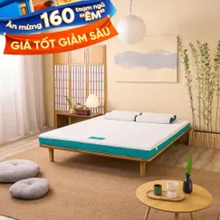 Nệm foam Nhật Bản Aeroflow Standard nâng đỡ cơ thể dày 12cm