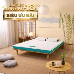 Nệm foam Nhật Bản Aeroflow Standard nâng đỡ cơ thể dày 12cm