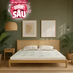 Nệm cao su thiên nhiên Gummi Classic thế hệ mới dày 5/10/15cm