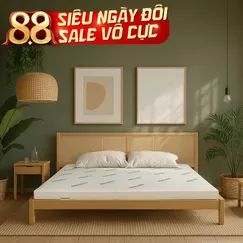 Nệm cao su thiên nhiên Gummi Classic thế hệ mới dày 5/10/15cm