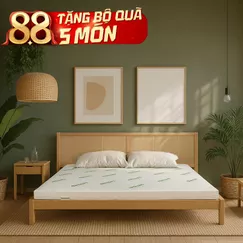 Nệm cao su thiên nhiên Gummi Classic thế hệ mới dày 5/10/15cm