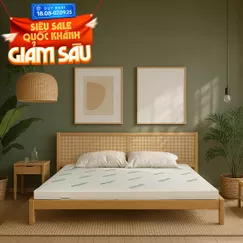 Nệm cao su thiên nhiên Gummi Classic thế hệ mới dày 5/10/15cm