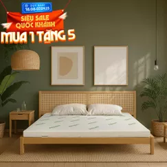 Nệm cao su thiên nhiên Gummi Classic thế hệ mới dày 5/10/15cm