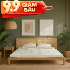 Nệm cao su thiên nhiên Gummi Classic thế hệ mới dày 5/10/15cm