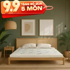 Nệm cao su thiên nhiên Gummi Classic thế hệ mới dày 5/10/15cm