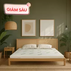 Nệm cao su thiên nhiên Gummi Classic thế hệ mới dày 5/10/15cm
