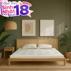 Nệm cao su thiên nhiên Gummi Classic thế hệ mới dày 5/10/15cm