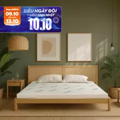 Nệm cao su thiên nhiên Gummi Classic thế hệ mới dày 5/10/15cm