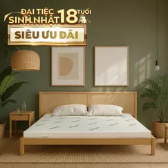 Nệm cao su thiên nhiên Gummi Classic thế hệ mới dày 5/10/15cm