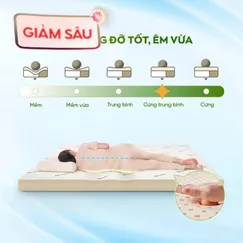 Nệm cao su thiên nhiên Gummi Classic thế hệ mới dày 5/10/15cm