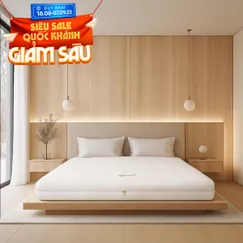Nệm cao su cao cấp Gummi Legend nhập khẩu dày 20cm