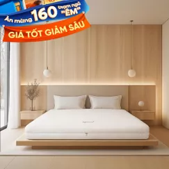 Nệm cao su cao cấp Gummi Legend nhập khẩu dày 20cm