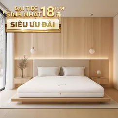 Nệm cao su cao cấp Gummi Legend nhập khẩu dày 20cm