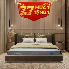 Nệm foam Comfy Cloud 2.0 siêu đàn hồi dày 15cm