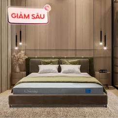 Nệm foam Comfy Cloud 2.0 siêu đàn hồi dày 15cm