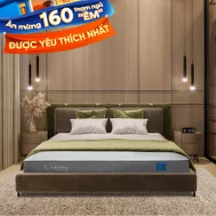 Nệm foam Comfy Cloud 2.0 siêu đàn hồi dày 15cm