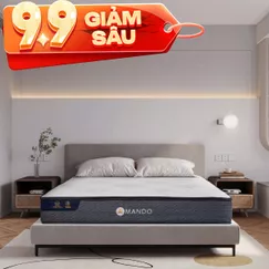 Nệm lò xo Amando Elite Original túi độc lập tiêu chuẩn khách sạn 5 sao dày 23cm
