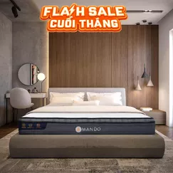 Nệm lò xo túi độc lập Amando Elite Plus giảm tiếng ồn dày 25cm