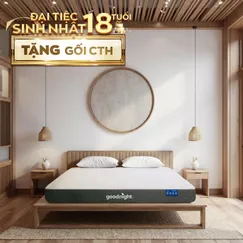 Nệm foam Goodnight Massage 2.0 (Hachi) giảm áp lực dày 15cm