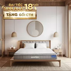 Nệm lò xo Goodnight SleepWave Hybrid (Sleep Wave 4.0) giảm tiếng ồn dày 20cm