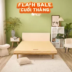 Nệm Bông ép Wonjun Pure Carbon kháng khuẩn ưu việt dày 10cm gấp 2