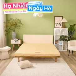 Nệm bông ép Wonjun Pure Carbon kháng khuẩn ưu việt dày 10cm gấp 2
