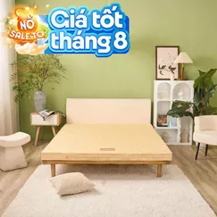 Nệm bông ép Wonjun Pure Carbon kháng khuẩn ưu việt dày 10cm gấp 2