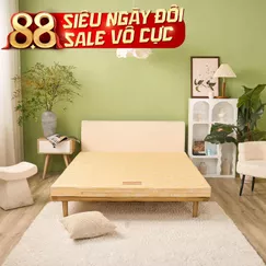 Nệm bông ép Wonjun Pure Carbon kháng khuẩn ưu việt dày 10cm gấp 2