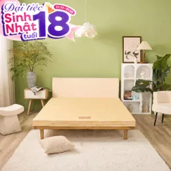 Nệm bông ép Wonjun Pure Carbon kháng khuẩn ưu việt dày 10cm gấp 2