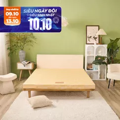 Nệm bông ép Wonjun Pure Carbon kháng khuẩn ưu việt dày 10cm gấp 2
