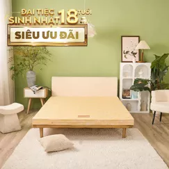 Nệm bông ép Wonjun Pure Carbon kháng khuẩn ưu việt dày 10cm gấp 2